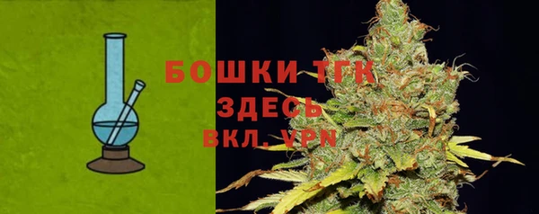 кокс Белокуриха