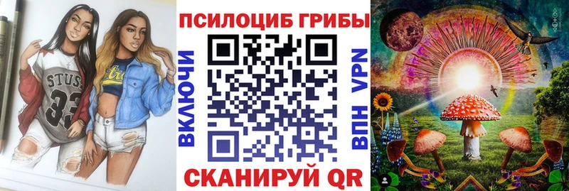 Купить где  Белорецк  Галлюциногенные грибы Psilocybine cubensis 